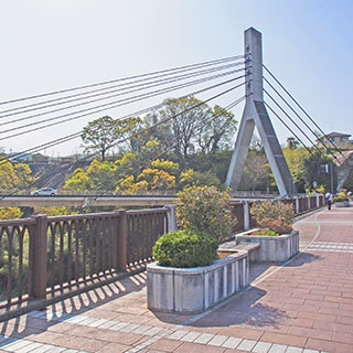 あの日見た花の名前を僕達はまだ知らない。